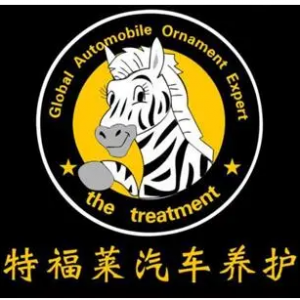 稀土高新區(qū)特福萊汽車裝飾店